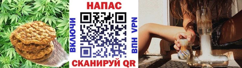 сайты даркнета состав  купить наркотик  Верхняя Тура  Canna-Cookies конопля 