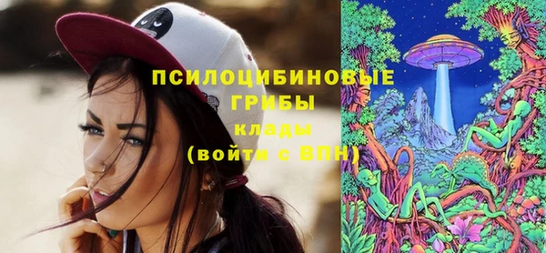 дмт Баксан