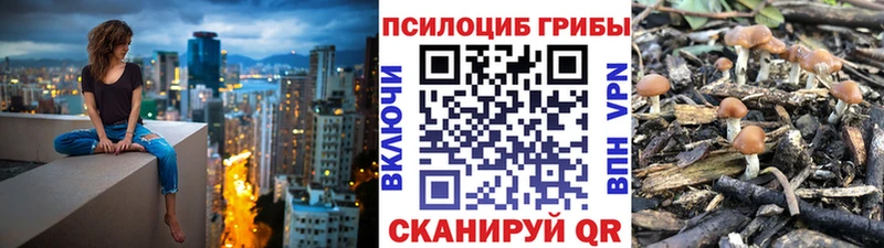 где купить наркоту Верхняя Тура Псилоцибиновые грибы Psilocybine cubensis
